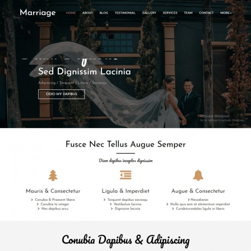 Free wedding website template home