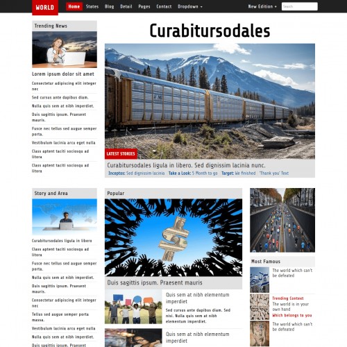 News Magazine bootstrap website portal template Home