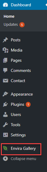 Showing envira gallery menu in wordpress admin