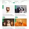 Pet dogs training blogs page bootstrap