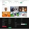 Pets template image gallery