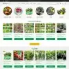 Gardening shop website template home page