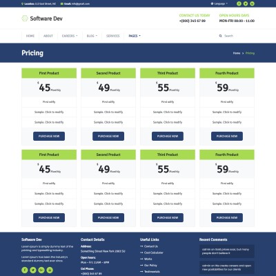 IT company pricing web page