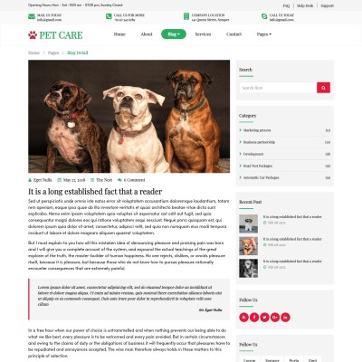 Pet care tips details page responsive design