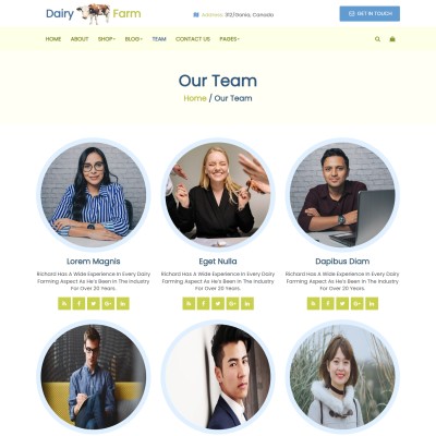 Cow milk dairy company team bootstrap