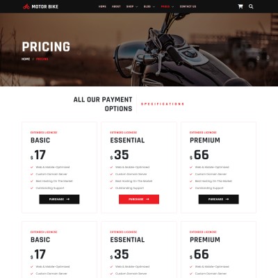 Motorcycle rental pricing page