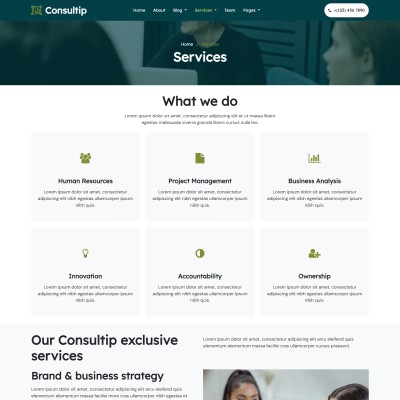 IT consulting services responsive html