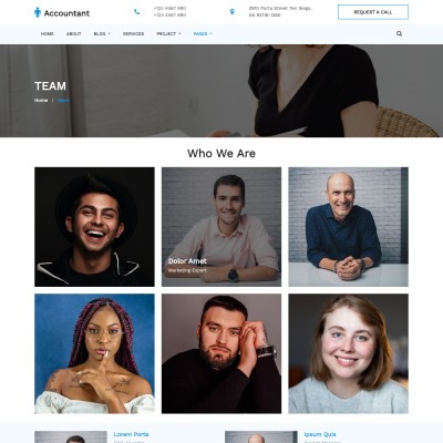 Accountant business team page html