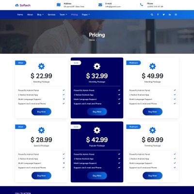 Responsive html page of web development pricing