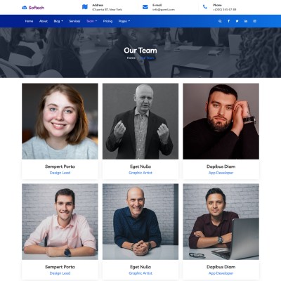 Web development teams page design