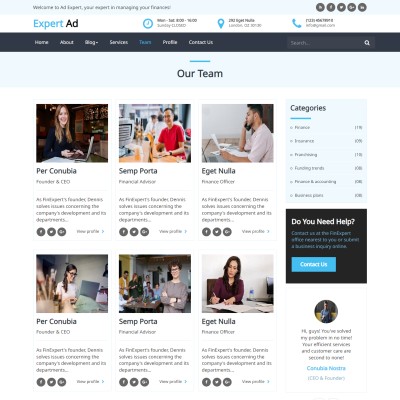 Responsive html for business consulting team