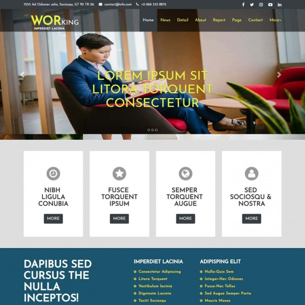 Digital marketing web template home