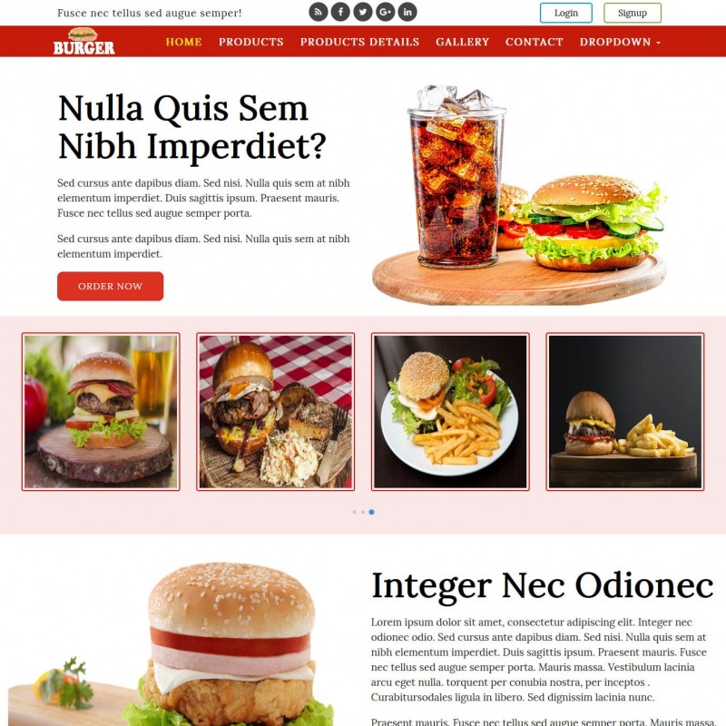 fast-food-website-template-free-download-templateonweb