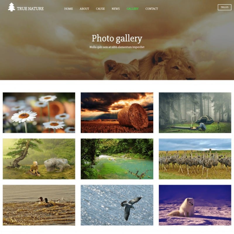 Nature Website Design Bootstrap TemplateOnWeb