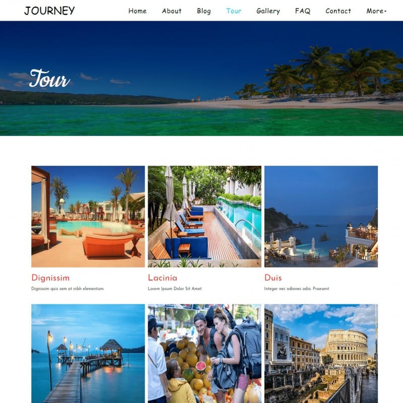  Travel  Agent Website  Templates Free Download TemplateOnWeb